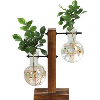 Home Bonsai Decor