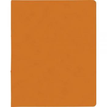Brunnen Ringbuch A4 Fact! plus 15mm 2 Ringe orange
