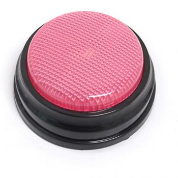LED Talking Button
