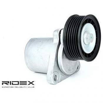 RIDEX Poulie-tendeur, courroie trapézoïdale à nervures 1364675