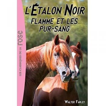 L'Etalon Noir, Tome 11 : Flamme et les pur-sang