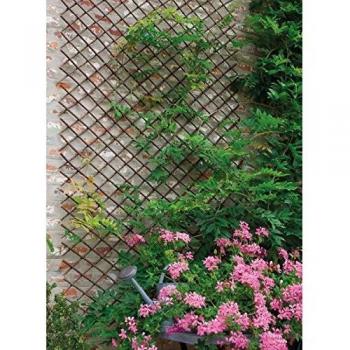 Weide Willow 170262 Treillage