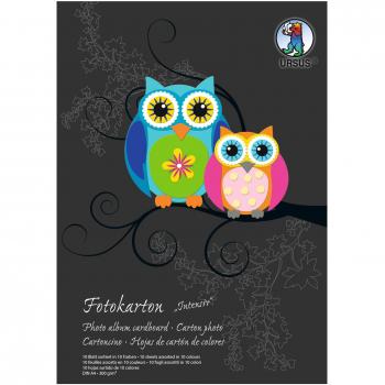 Premium Colored Cardstock 300g/m² A4, 10 Sheet Variety