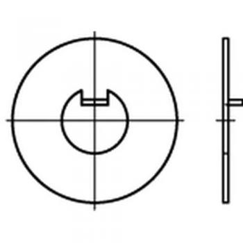 DIN 462 Innennasen-Scheiben Ø8 x 20 x 0,8mm