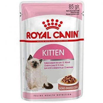 Royal Canin Kitten Wet Food in Sauce