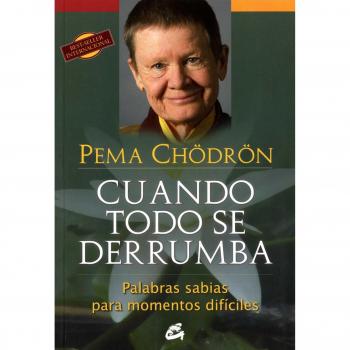 Cuando todo se derrumba