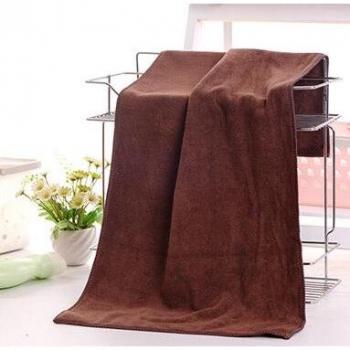 30cm x 60cm Multi-Use Microfiber Towel