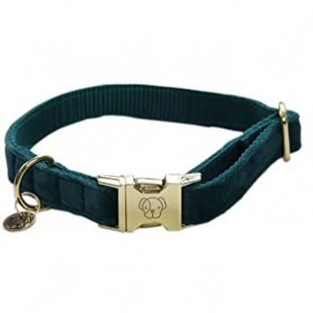 Collier chic en velours pour chien Kentucky