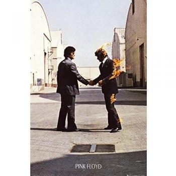 Pink Floyd Wish You Were Here Buntes Poster
