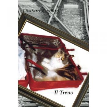 Il Treno