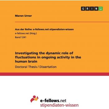 Urner, Maren: Investigating the dynamic role of fluctuations in ongoing activity in the human brain