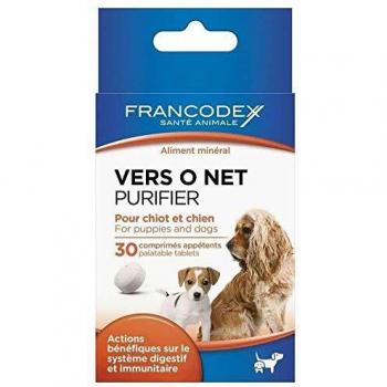 Vers plats et ronds Chien