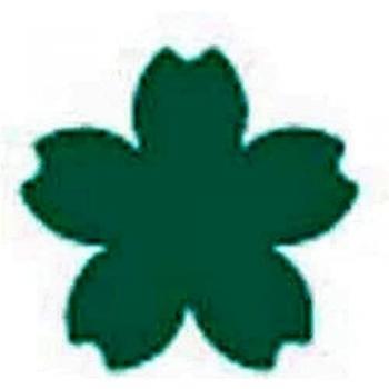 Perforatrice Lotus Petite