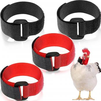 Collar Ajustable para Gallo