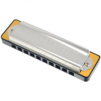 SUZUKI 10 hole harmonica HARP MASTER key MR-200 D silver