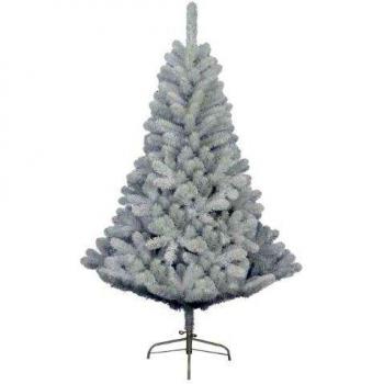White Imperial Pine Tree