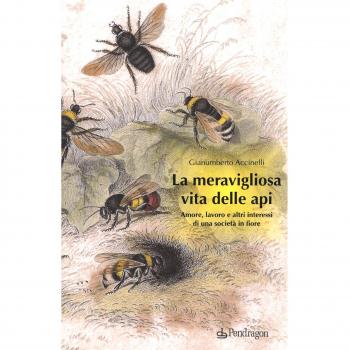 La meravigliosa vita delle api. Amore, lavoro e altri interessi di una società in fiore