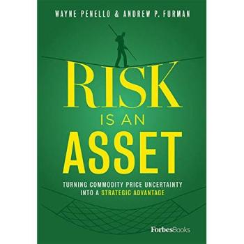 Risk Is an Asset