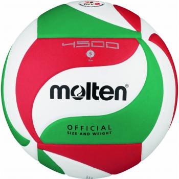 Molten Size 5 Competition Volleyball