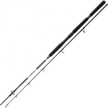 Daiwa BG Pilk-Rute Offshore 2,10m 40-125g
