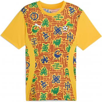 Camiseta de Entrenamiento Puma Ghana 24/25