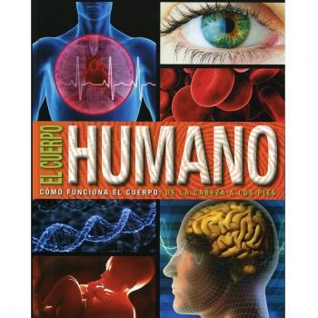 El cuerpo humano