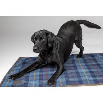 Tapis en Tweed pour Chien Digby & Fox 80x100 cm