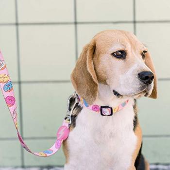 Collar Donut para Perros Dashi