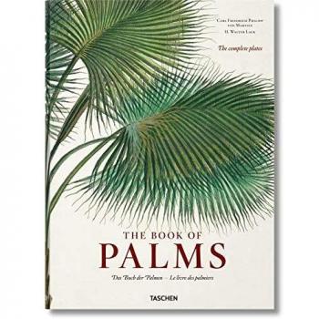 Martius the book of palms