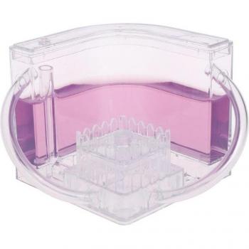 3D Live Ant Farm