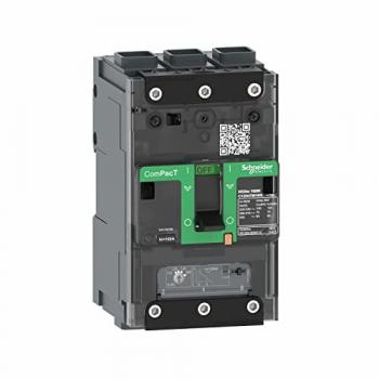 C11B3TM100L (Schneider Electric)