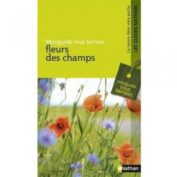 Fleurs des champs