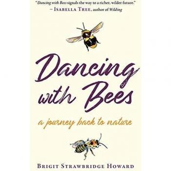 Dancing with Bees A Journey Back to Nature