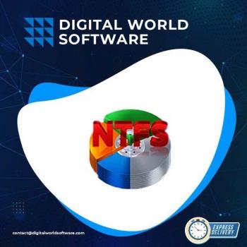 RS NTFS Data Recovery 3.8