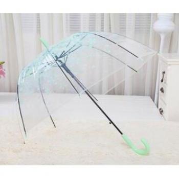 Transparent Kids Rain Umbrella