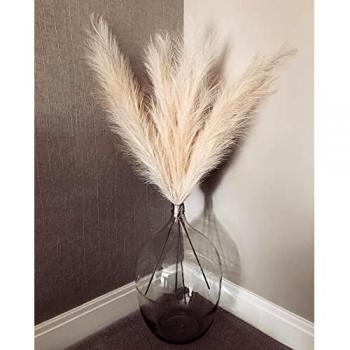 MEETFUN Herbe De La Pampa 5pcs 100cm Pampas Artificiels Home Garden