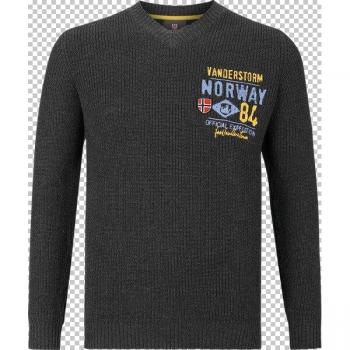 Jan Vanderstorm JELLEN Herrenpullover