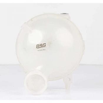 BSG Coolant Expansion Reservoir 70550002
