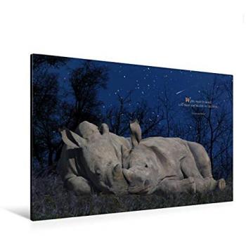 CALVENDO Leinwanddruck 120 x 80 cm Quer-Format Breitmaul-Nashorn, von Heinz Schmidbauer