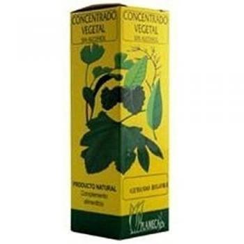 Ginkgo Biloba líquido 50 ml