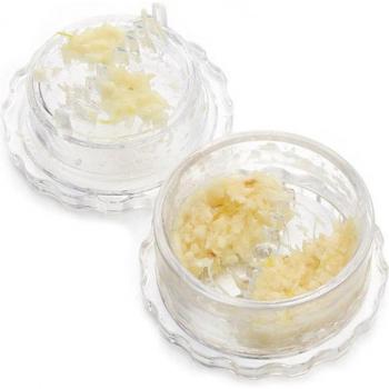 Mini‑presse à ail en plastique – Éplucheur & Broyeur 1×1