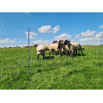 Kerbl Vario TitanNet 50 m – 122 cm – weiß/blau – Tierabwehrnetz
