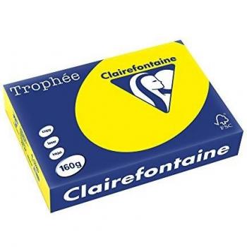 Trophee Card A4 160gsm Intensive Yellow (250 Pack) 1029C