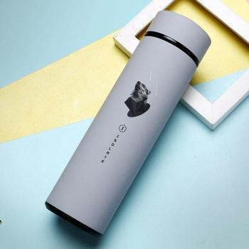 500ml Insulated Travel Water Bottle