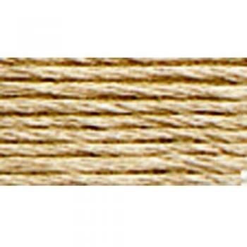 Thread for Embroidery, Stranded Cotton – 3033