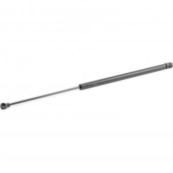 RIDEX Vérin de coffre CHEVROLET 219G0622 95472696