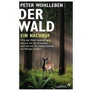 Der Wald