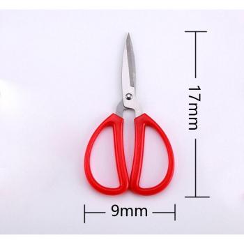 Embroideries Scissors
