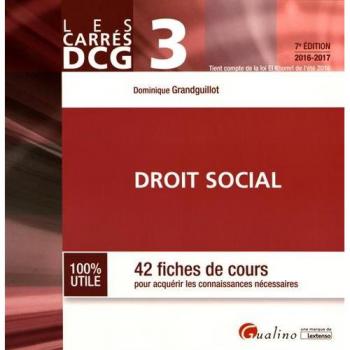 DCG 3 Droit social: 42 fiches de cours pour acquérir les connaissances nécessaires