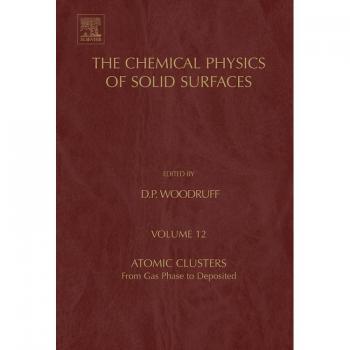 Atomic Clusters, The Chemical Physics of Solid Surfaces Series